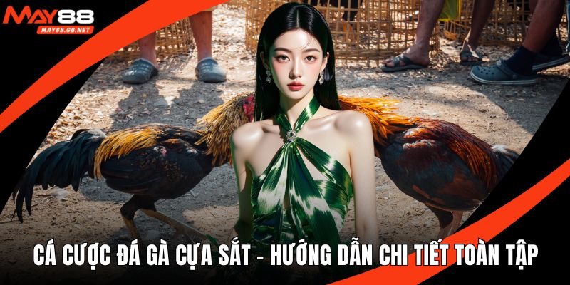 Cá cược đá gà cựa sắt