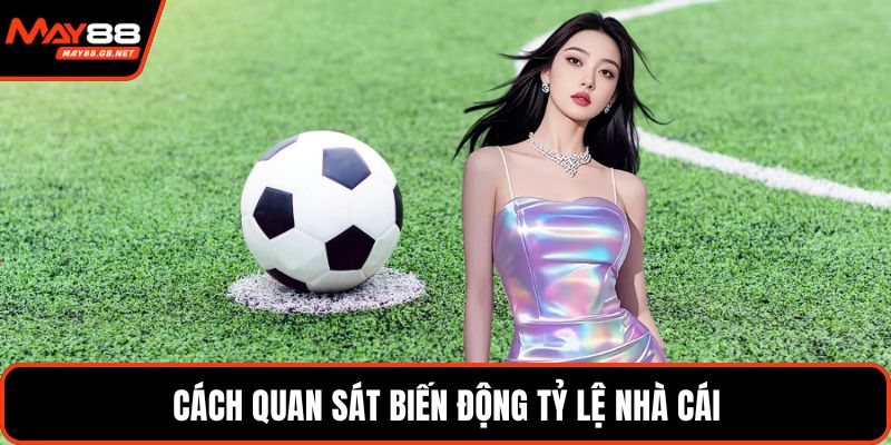 Cách quan sát biến động tỷ lệ nhà cái