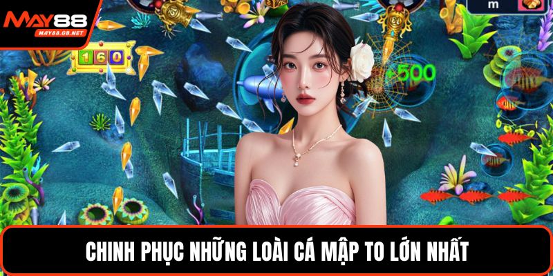 Chinh phục những loài cá mập to lớn nhất