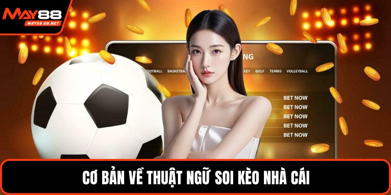 Cơ bản về thuật ngữ soi kèo nhà cái