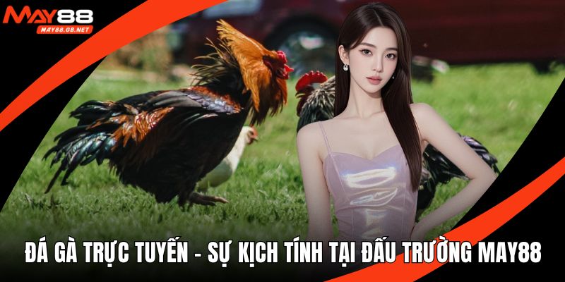 Đá gà trực tuyến