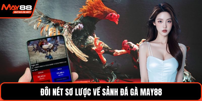 Đôi nét sơ lược về sảnh đá gà MAY88