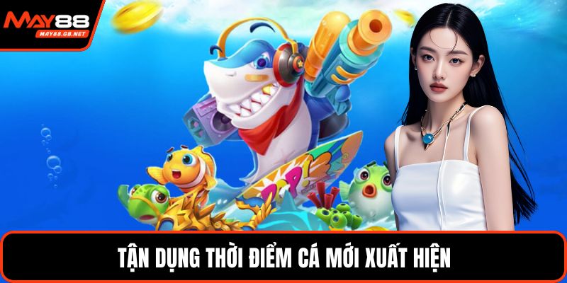 Tận dụng thời điểm cá mới xuất hiện