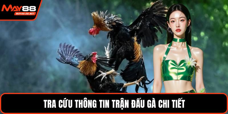 Tra cứu thông tin trận đấu gà chi tiết